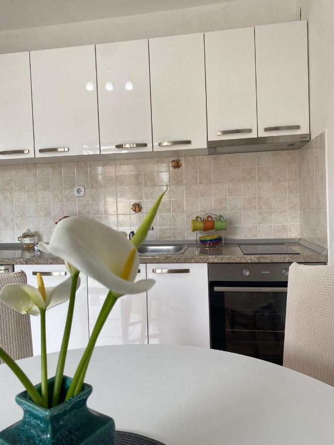 Studio Apartment Novak Čilipi Exterior foto